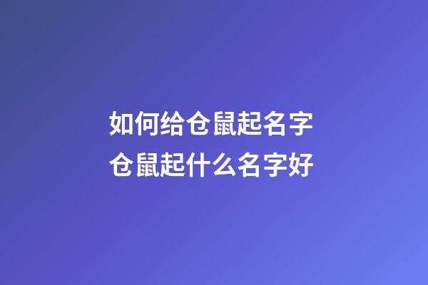 如何给仓鼠起名字 仓鼠起什么名字好
